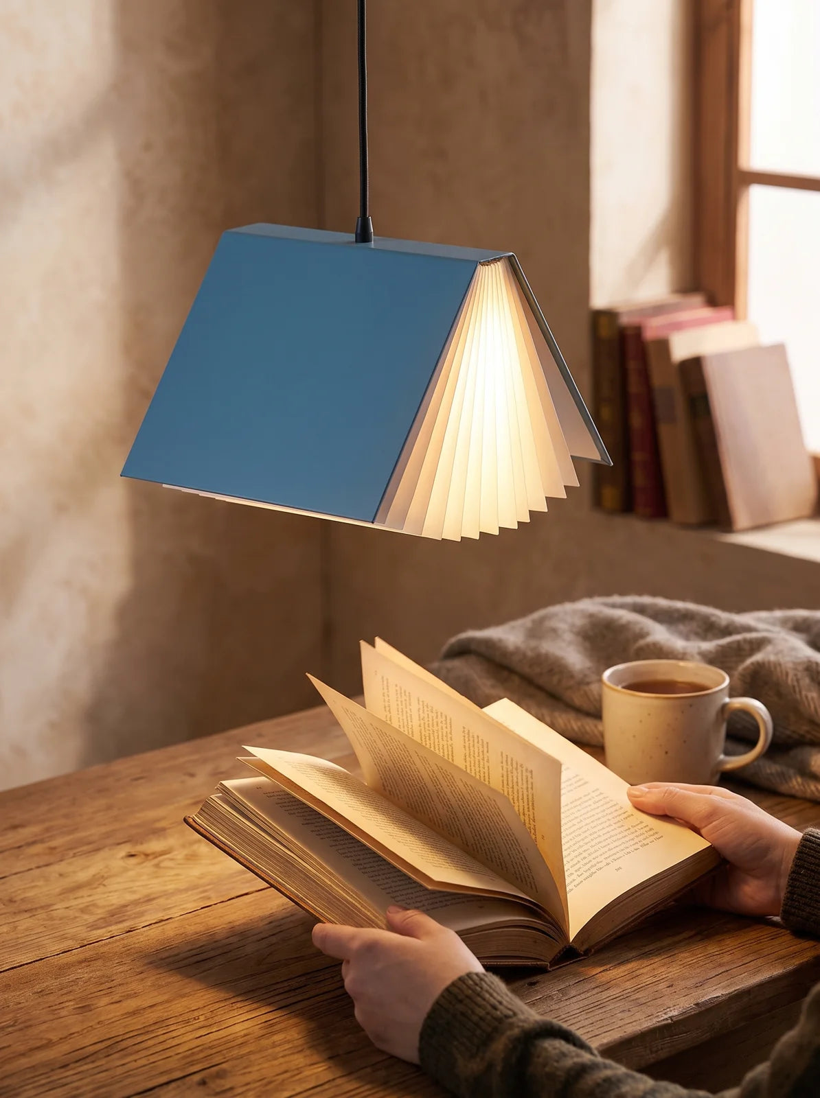 Flying Book Pendant Light - iwt1_image