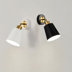 Modern Metal Wall Sconce Light